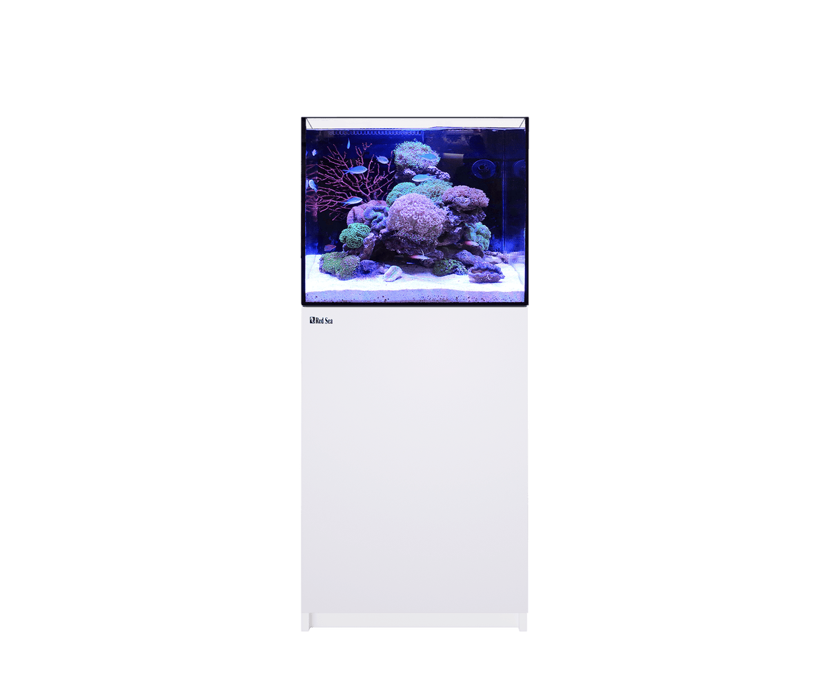 Reefer 170 G2 System (33 Gal) - Red Sea – Deep Sea Creations Reefer 170 G2 System (33 Gal) - Red Sea – Deep Sea Creations