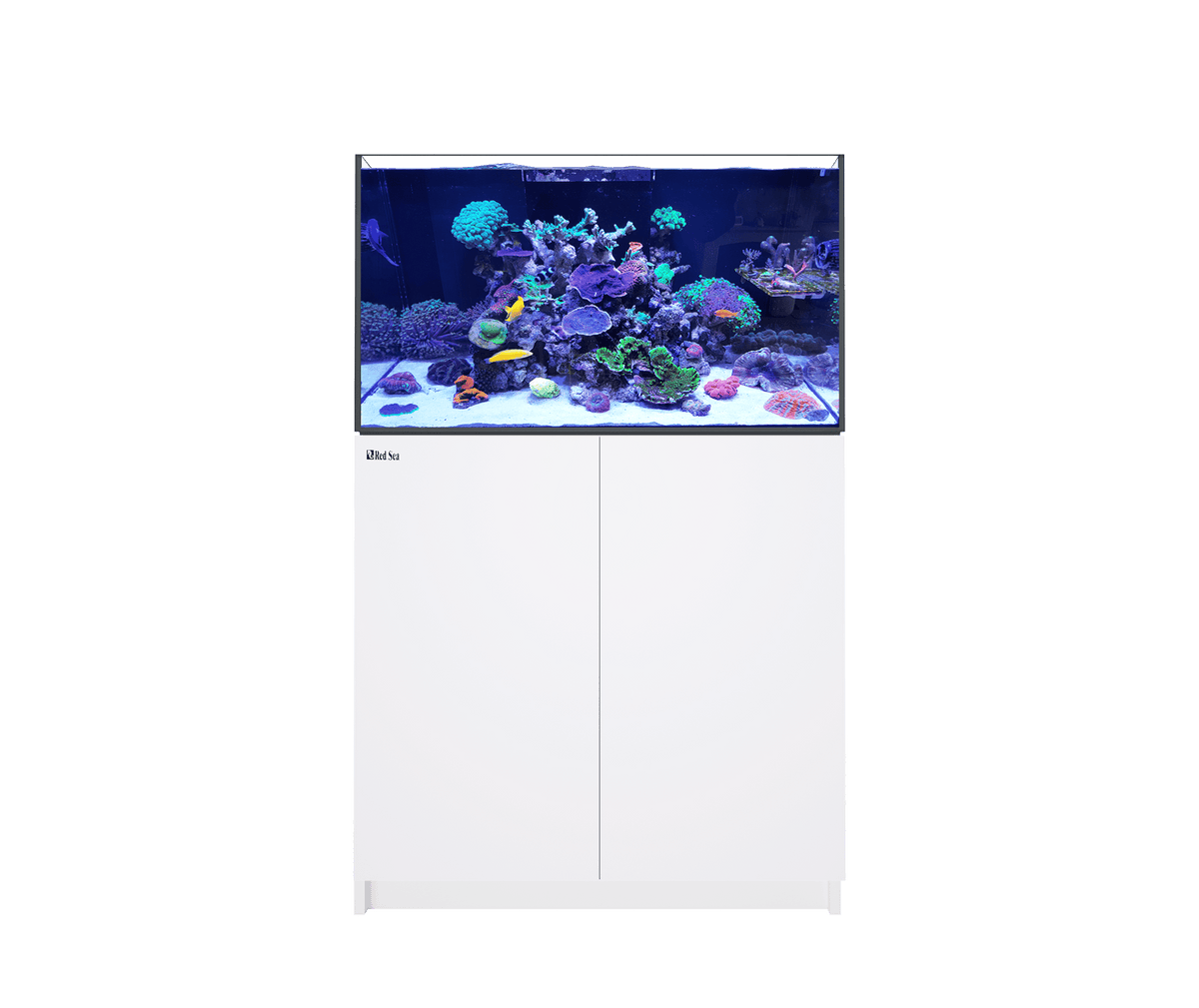 Reefer 250 G2 System (54 Gal) - Red Sea – Deep Sea Creations