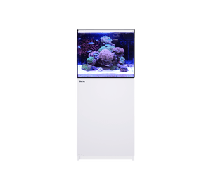 Reefer 170 G2 System (33 Gal) - Red Sea – Deep Sea Creations Reefer 170 G2 System (33 Gal) - Red Sea – Deep Sea Creations