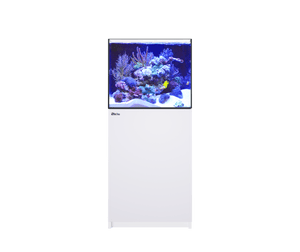 Reefer 200 G2 DELUXE w/ReefLED 90- Red Sea