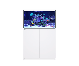 Reefer 250 G2 DELUXE w/ Two ReefLED 90- Red Sea
