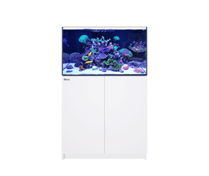 Reefer 250 G2 System (54 Gal) - Red Sea – Deep Sea Creations Reefer 250 G2 System (54 Gal) - Red Sea – Deep Sea Creations