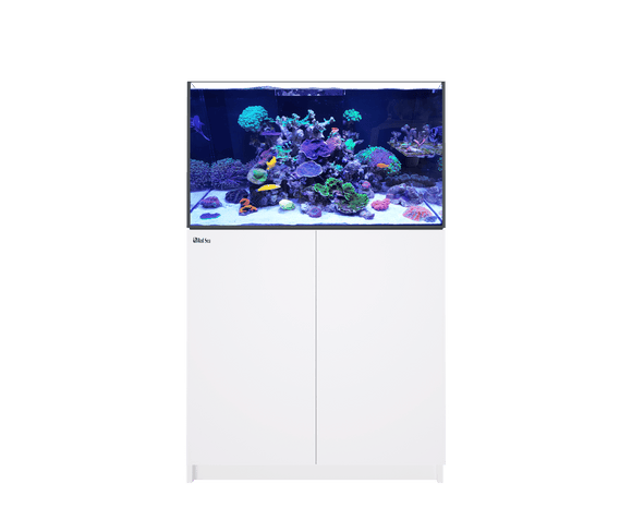Reefer 250 G2 System (54 Gal) - Red Sea – Deep Sea Creations Reefer 250 G2 System (54 Gal) - Red Sea – Deep Sea Creations