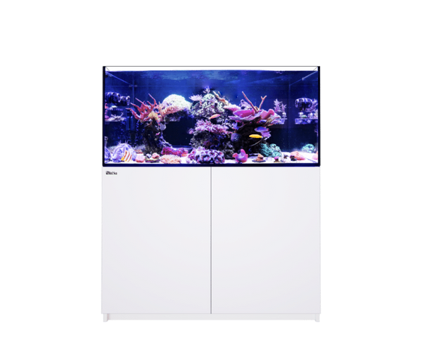 Reefer 350 G2 System (72 Gal) - Red Sea – Deep Sea Creations Reefer 350 G2 System (72 Gal) - Red Sea – Deep Sea Creations