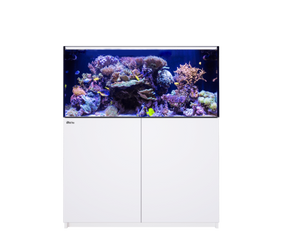 Reefer XL 425 G2 Deluxe -Red Sea (incl. 2 XRL 160 & mounting arms)