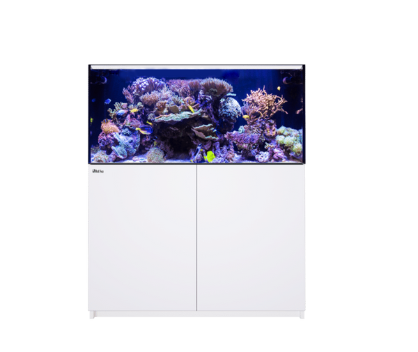 Reefer XL 425 G2 Deluxe -Red Sea (incl. 2 XRL 160 & mounting arms