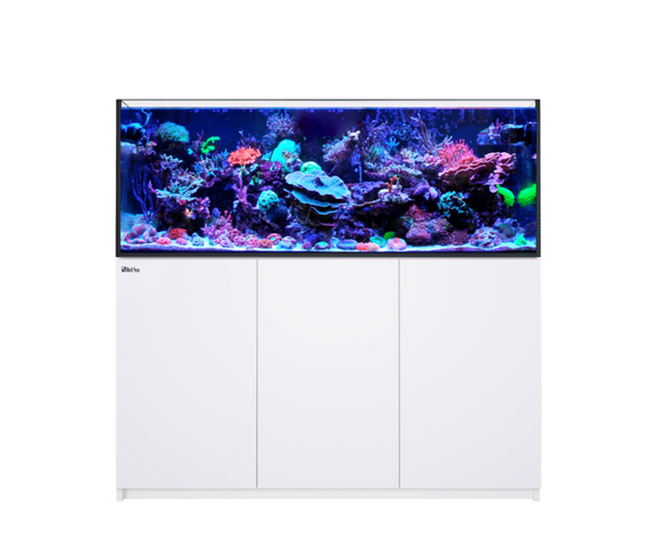 Reefer XL 525 G2 System (112 Gal) - Red Sea – Deep Sea Creations Reefer XL 525 G2 System (112 Gal) - Red Sea – Deep Sea Creations